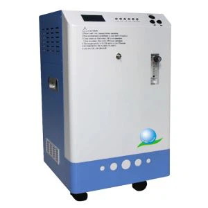 Fabriksförsörjning ozongenerator för industri