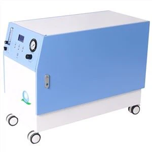 Hästköttsanestesi Syrekoncentrator